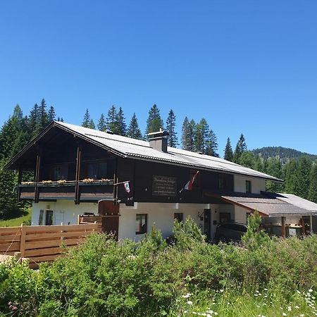 Ferienhaus Schaefer - Apartments - Wintersports - Family Holiday - Holiday With Your Dog - Rural & Scenic Flattnitz Bagian luar foto