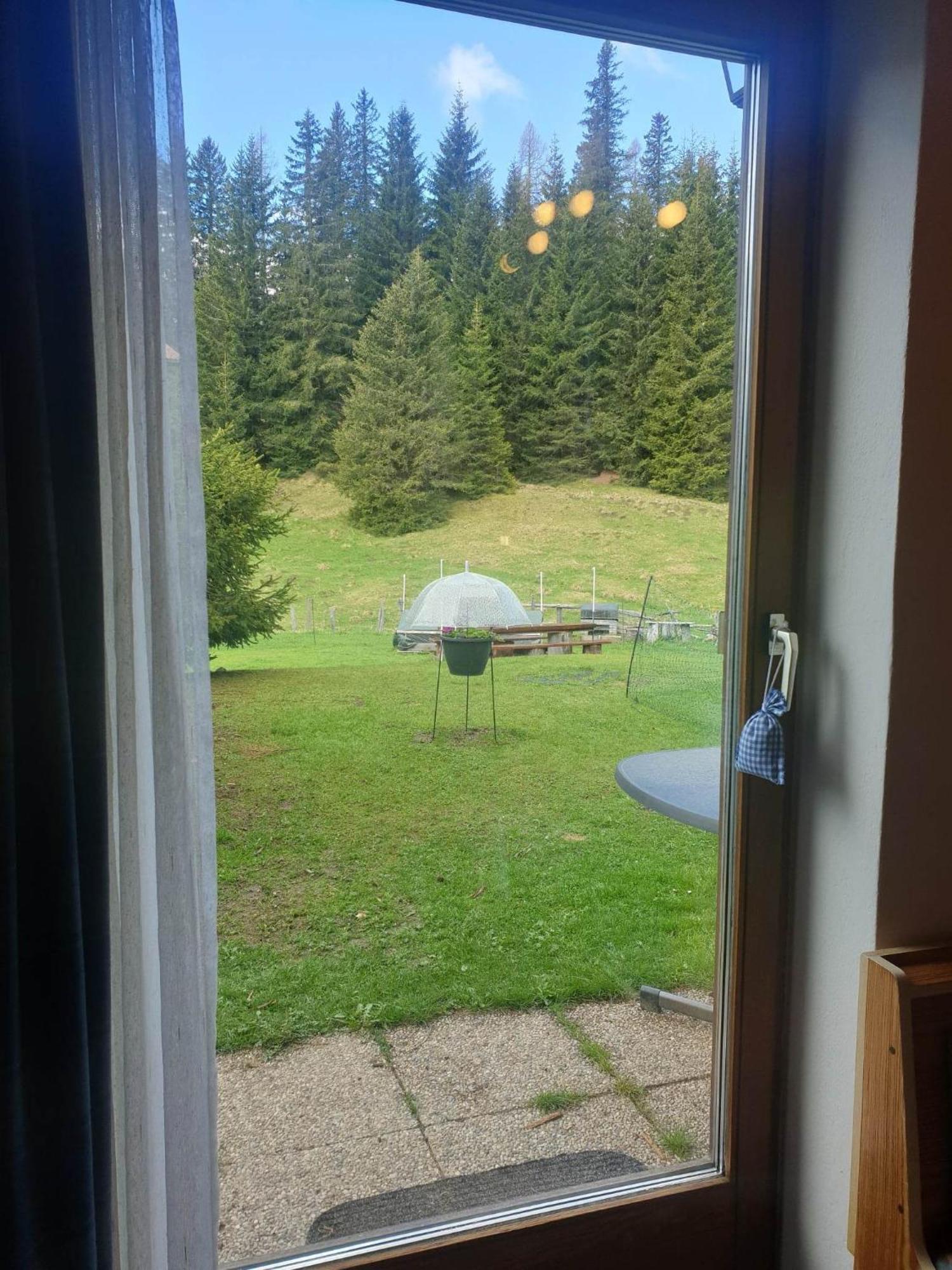 Ferienhaus Schaefer - Apartments - Wintersports - Family Holiday - Holiday With Your Dog - Rural & Scenic Flattnitz Bagian luar foto
