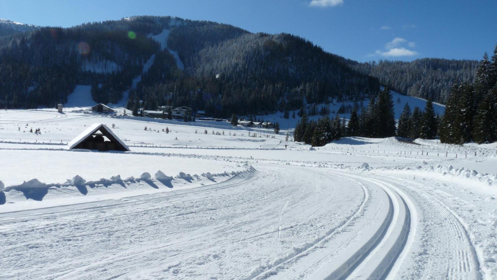 Ferienhaus Schaefer - Apartments - Wintersports - Family Holiday - Holiday With Your Dog - Rural & Scenic Flattnitz Bagian luar foto