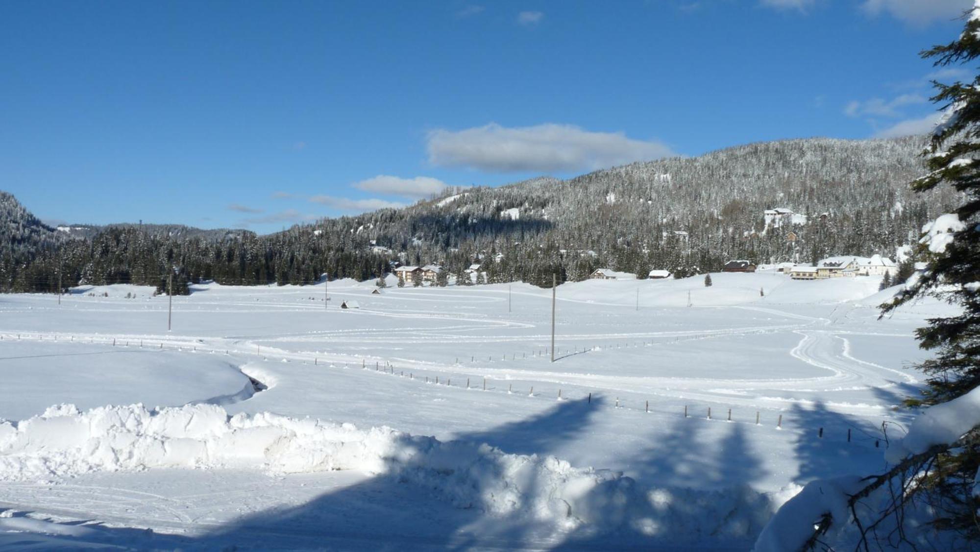 Ferienhaus Schaefer - Apartments - Wintersports - Family Holiday - Holiday With Your Dog - Rural & Scenic Flattnitz Bagian luar foto