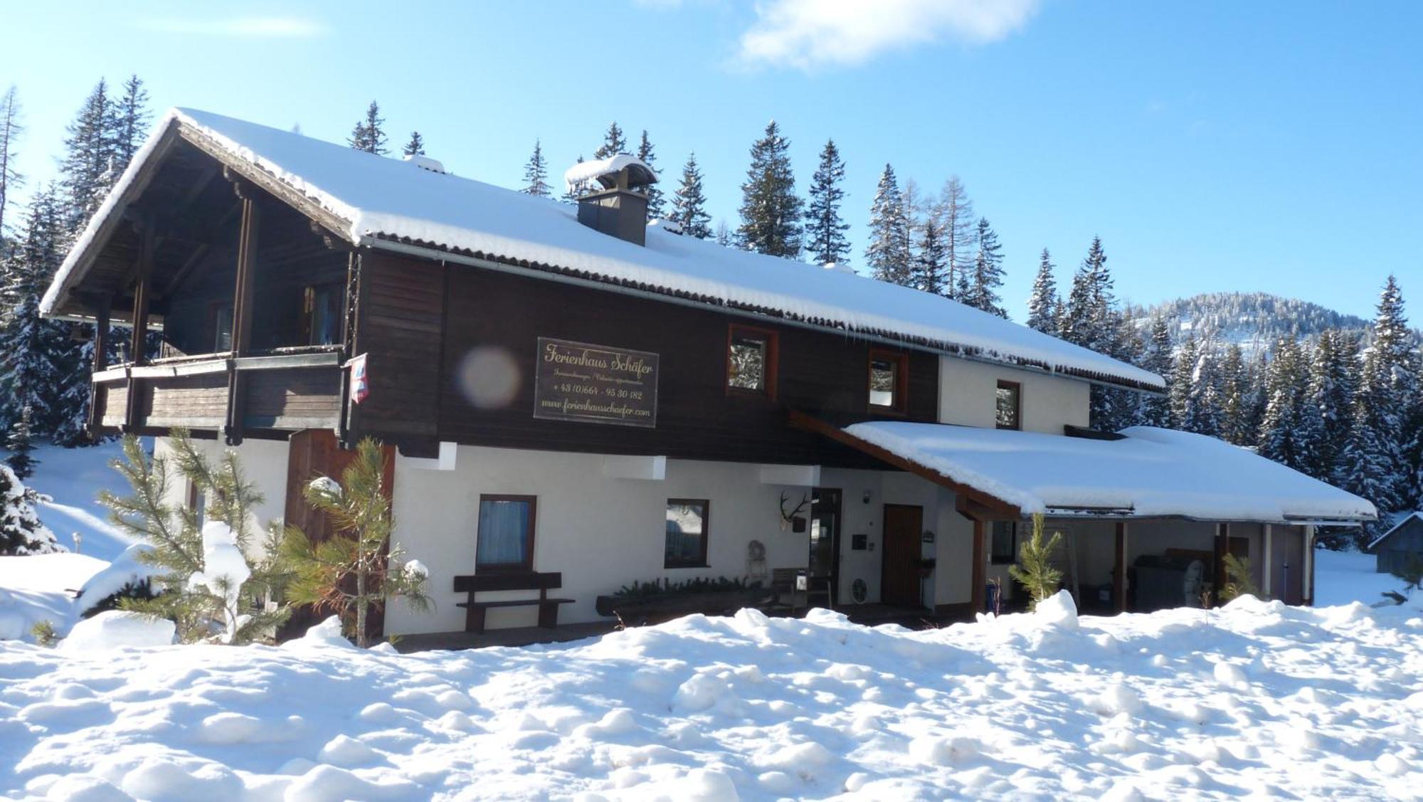 Ferienhaus Schaefer - Apartments - Wintersports - Family Holiday - Holiday With Your Dog - Rural & Scenic Flattnitz Bagian luar foto