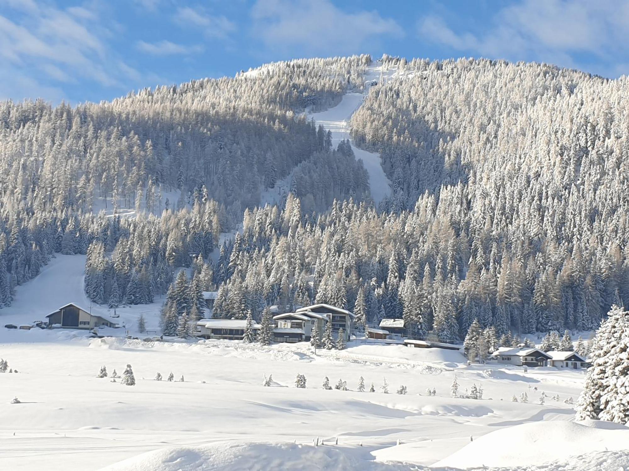 Ferienhaus Schaefer - Apartments - Wintersports - Family Holiday - Holiday With Your Dog - Rural & Scenic Flattnitz Bagian luar foto