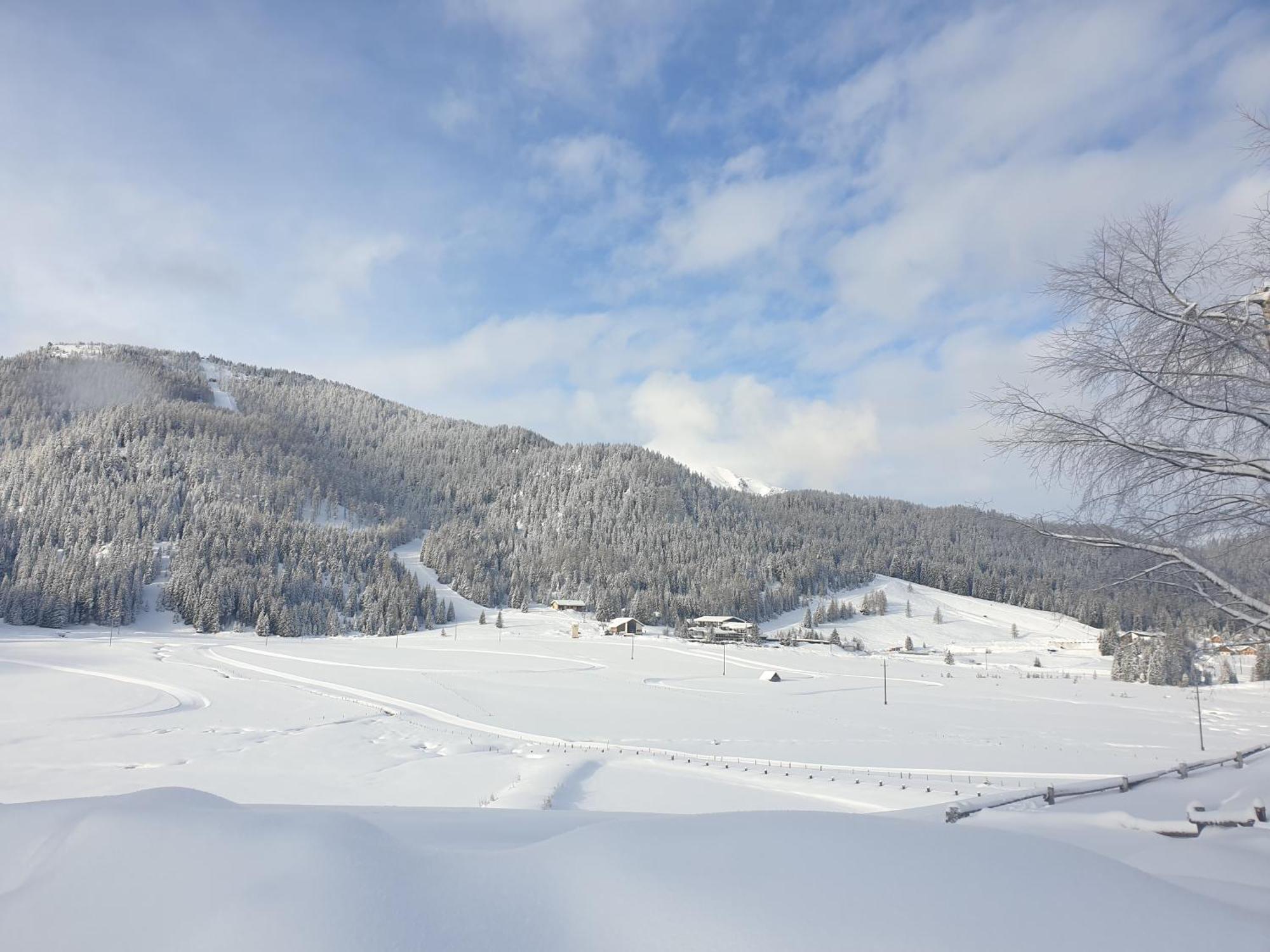 Ferienhaus Schaefer - Apartments - Wintersports - Family Holiday - Holiday With Your Dog - Rural & Scenic Flattnitz Bagian luar foto