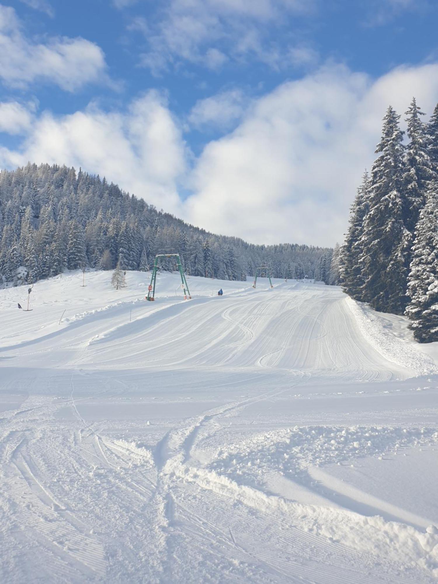 Ferienhaus Schaefer - Apartments - Wintersports - Family Holiday - Holiday With Your Dog - Rural & Scenic Flattnitz Bagian luar foto