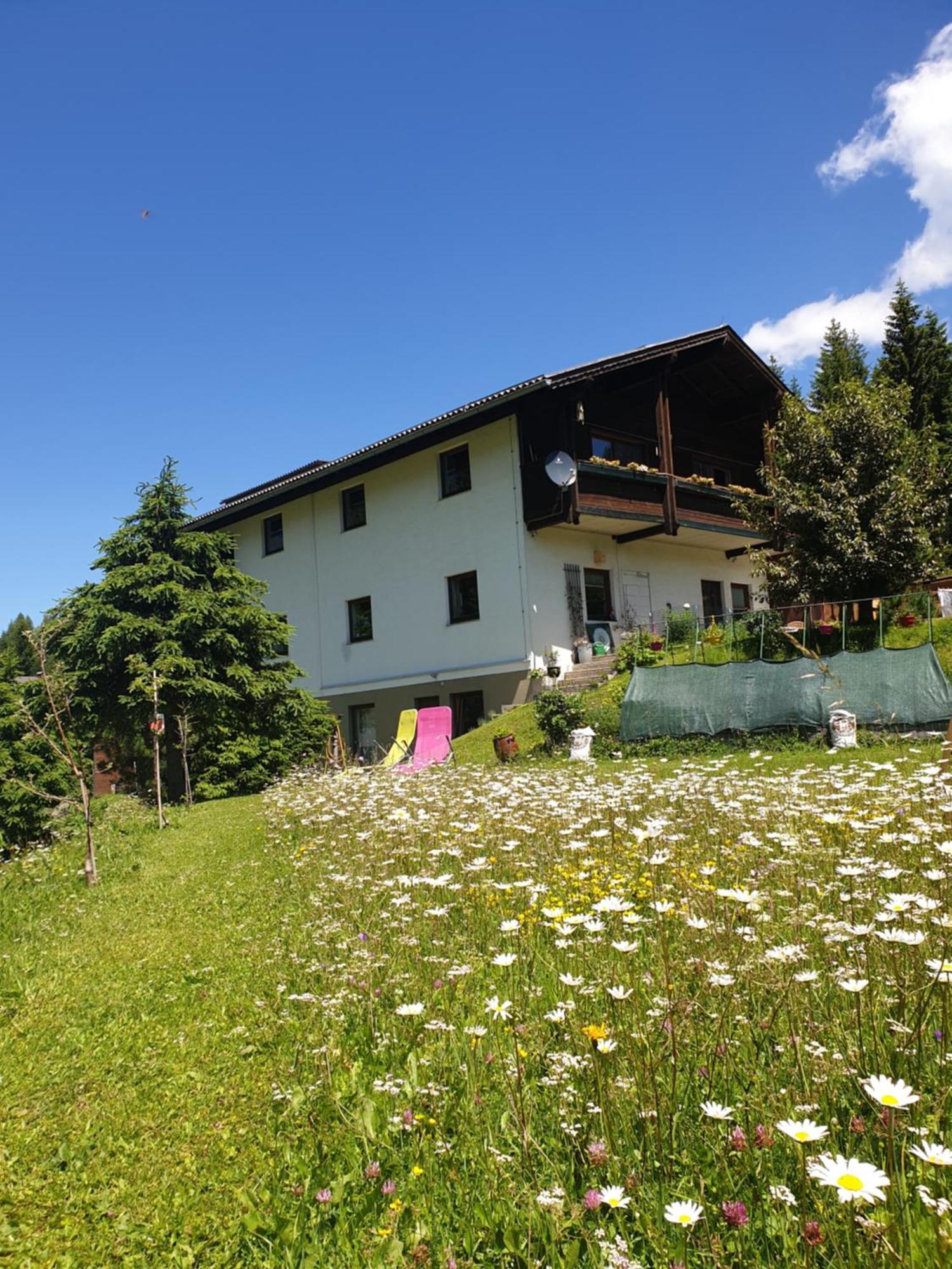 Ferienhaus Schaefer - Apartments - Wintersports - Family Holiday - Holiday With Your Dog - Rural & Scenic Flattnitz Bagian luar foto