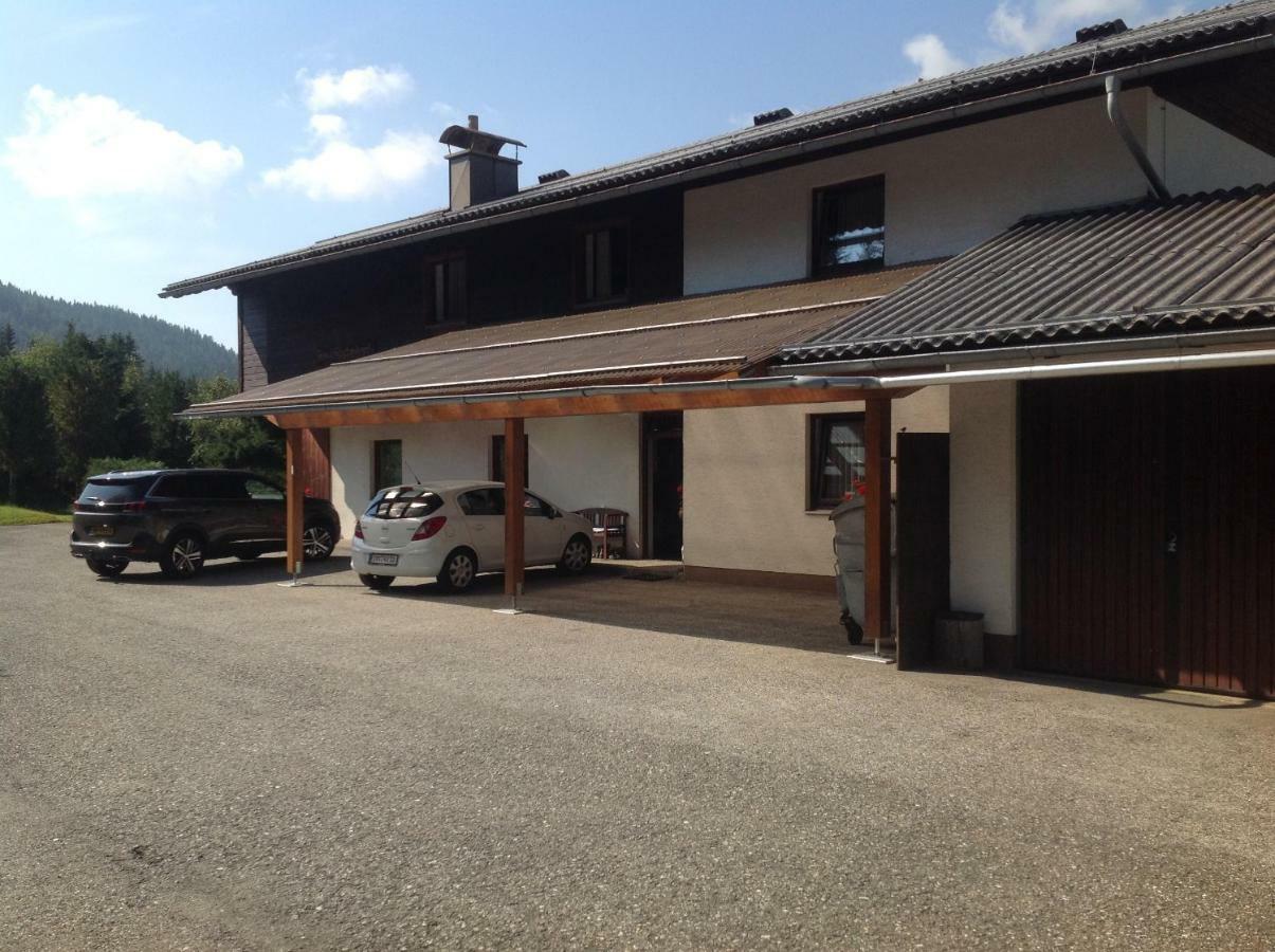 Ferienhaus Schaefer - Apartments - Wintersports - Family Holiday - Holiday With Your Dog - Rural & Scenic Flattnitz Bagian luar foto