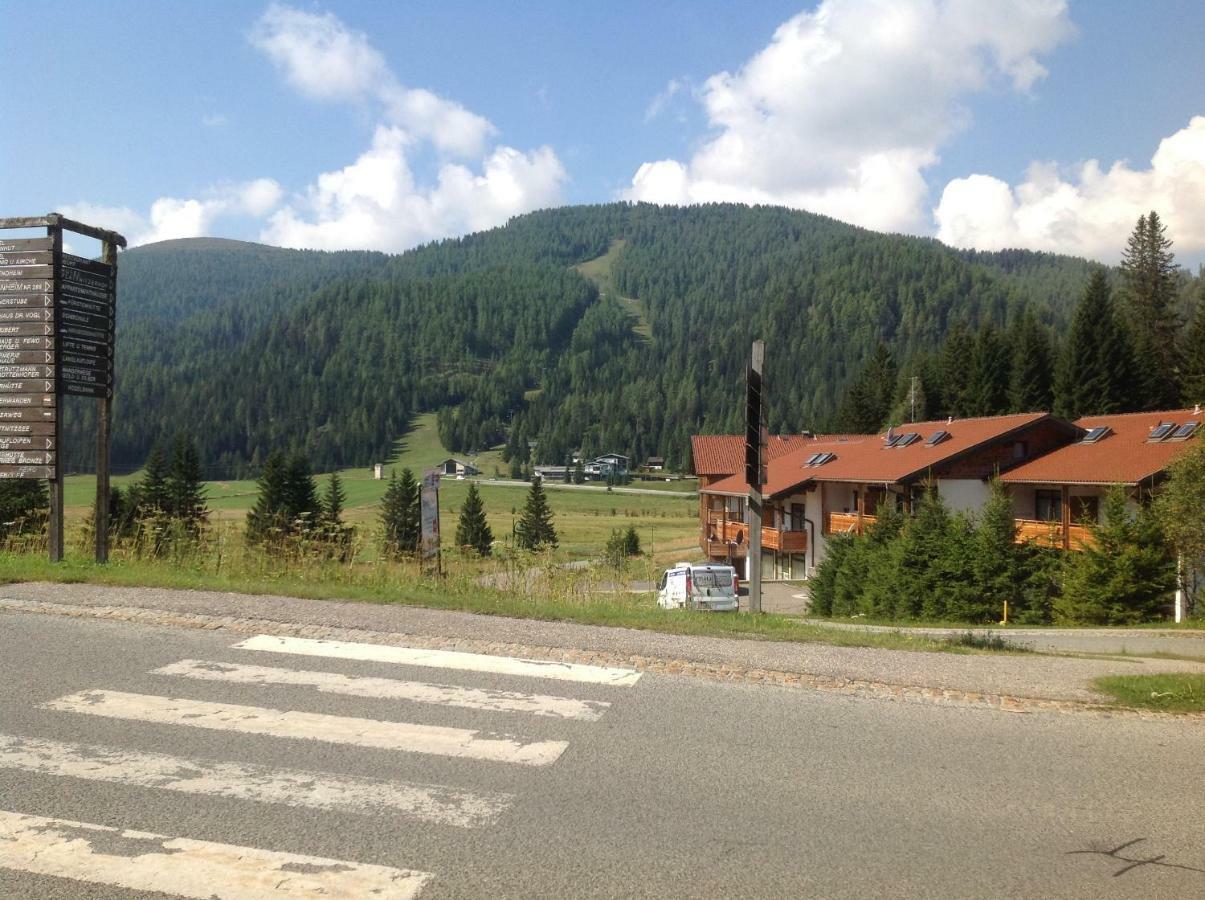 Ferienhaus Schaefer - Apartments - Wintersports - Family Holiday - Holiday With Your Dog - Rural & Scenic Flattnitz Bagian luar foto