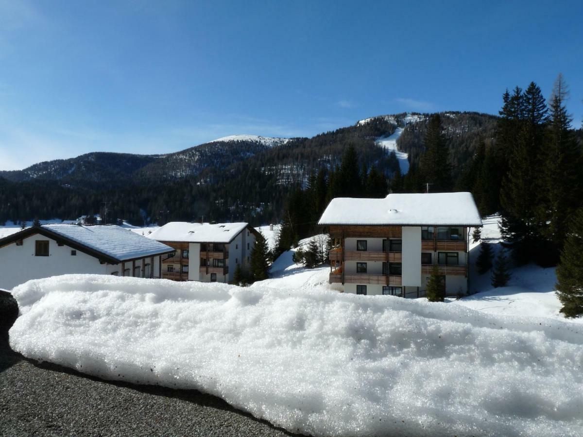 Ferienhaus Schaefer - Apartments - Wintersports - Family Holiday - Holiday With Your Dog - Rural & Scenic Flattnitz Bagian luar foto